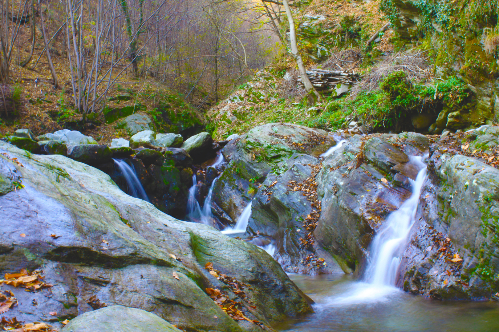 Natura incantata, Mezzovico(CH)