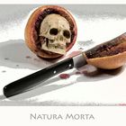 Natura Morta