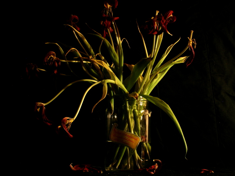 natura morta in vaso reciclato