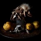 natura morte 2018 fine art print 50x70cm