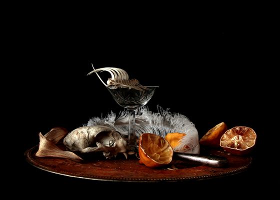 natura morte 2019 fine art print 50x70cm