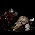 natura morte 2020 fine art print 50x70cm