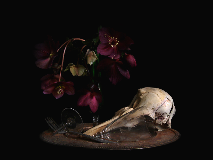 natura morte, 2020, fine art print, 50x70cm