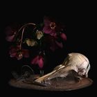 natura morte, 2020, fine art print, 50x70cm