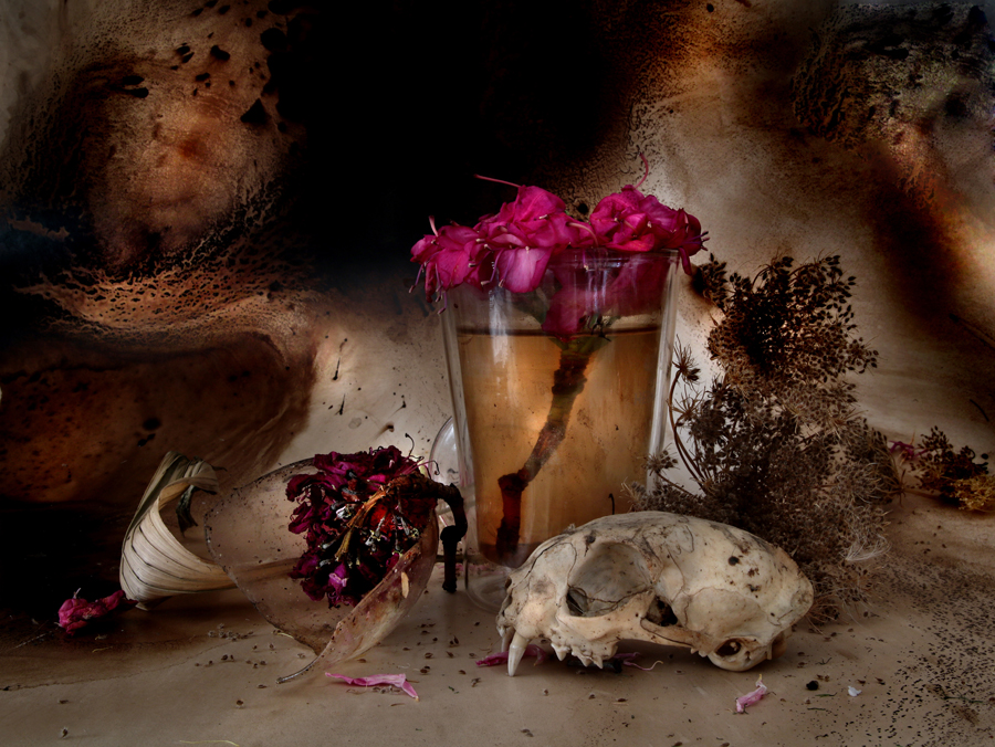 natura morte, 2020, fine art print, 50x70cm