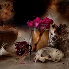 natura morte, 2020, fine art print, 50x70cm