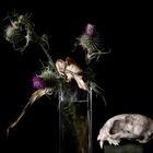 natura morte, 2020, fine art print, 50x70cm