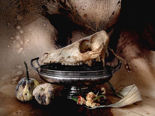 natura morte, 2020, fine art print, 50x70cm