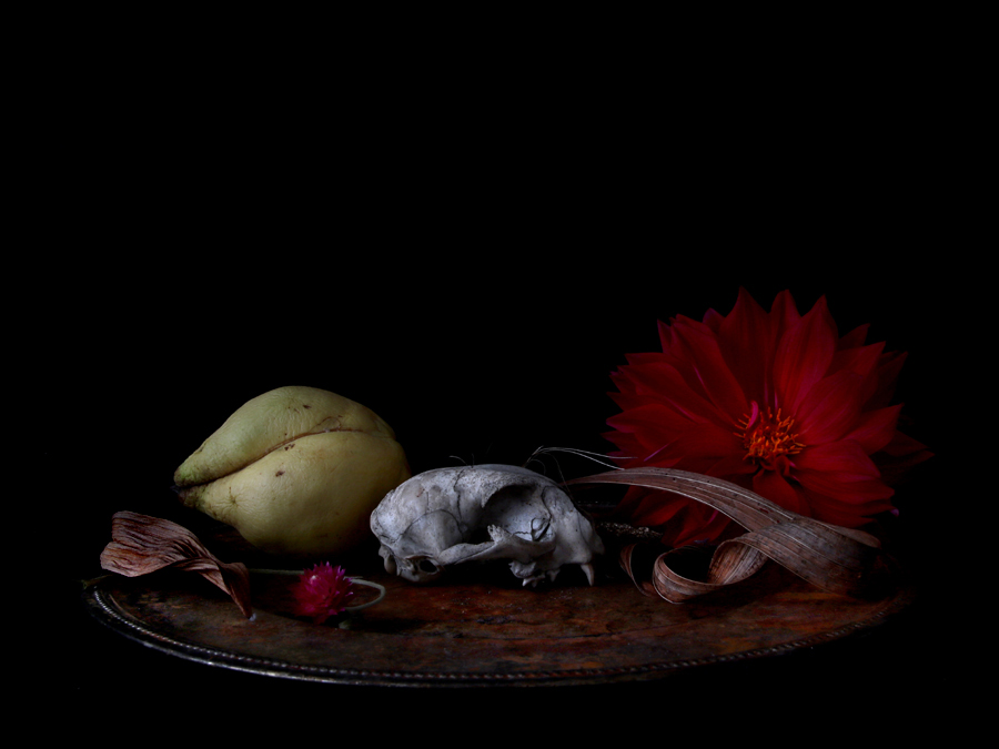 natura morte, 2020, fine art print, 50x70cm