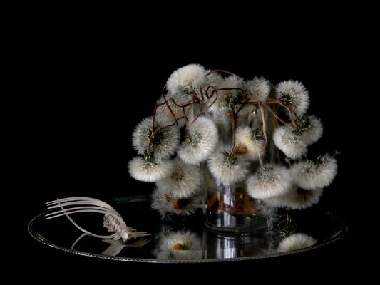 natura morte, 2021, fine art print, 50x70cm © e.koukouwitakis