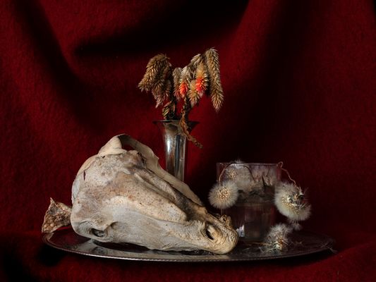 natura morte, 2024, fine art print, 50x70cm © e.koukouwitakis