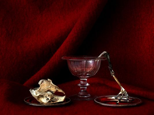 natura morte, 2024, fine art print, 50x70cm  © e.koukouwitakis