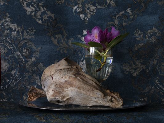 natura morte, 2024, fine art print, 50x70cm  © e.koukouwitakis