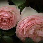 ..natura rosa......