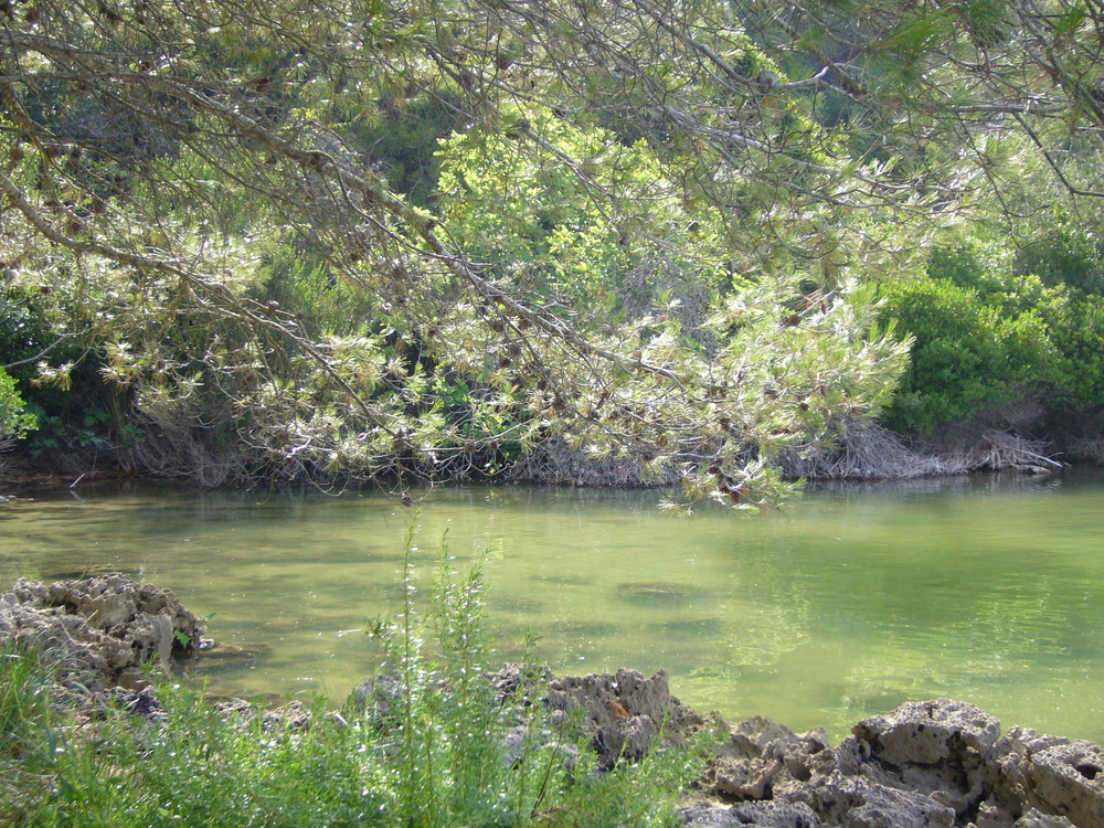 "Natura verde"