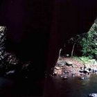 Natural Arch in a timeless rainforest