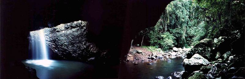 Natural Arch in a timeless rainforest