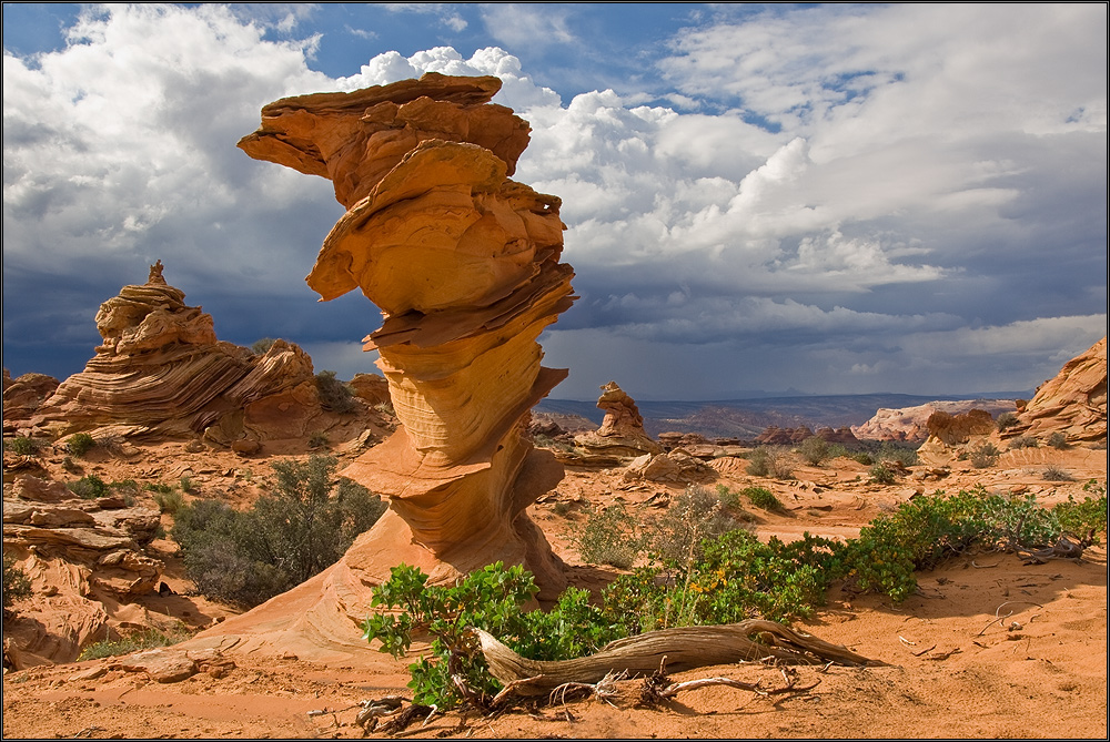 Natural Art von Marc Maiworm 