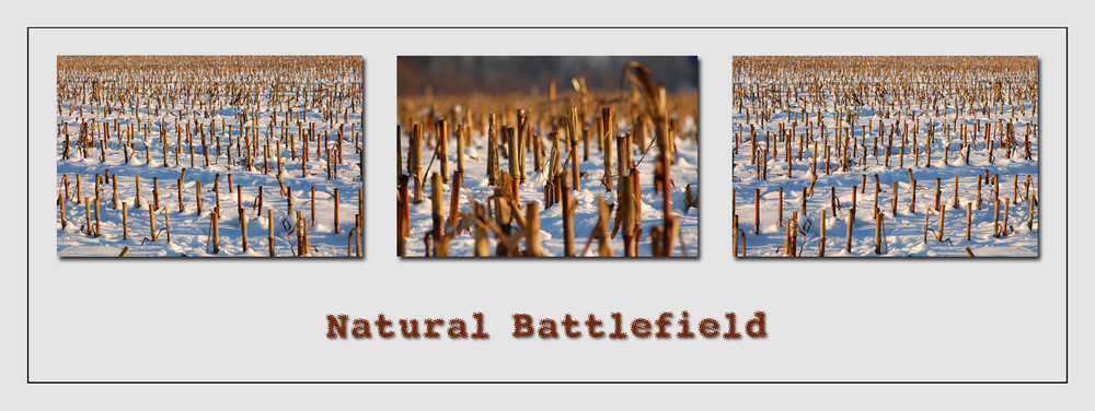 Natural Battlefield