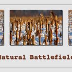Natural Battlefield