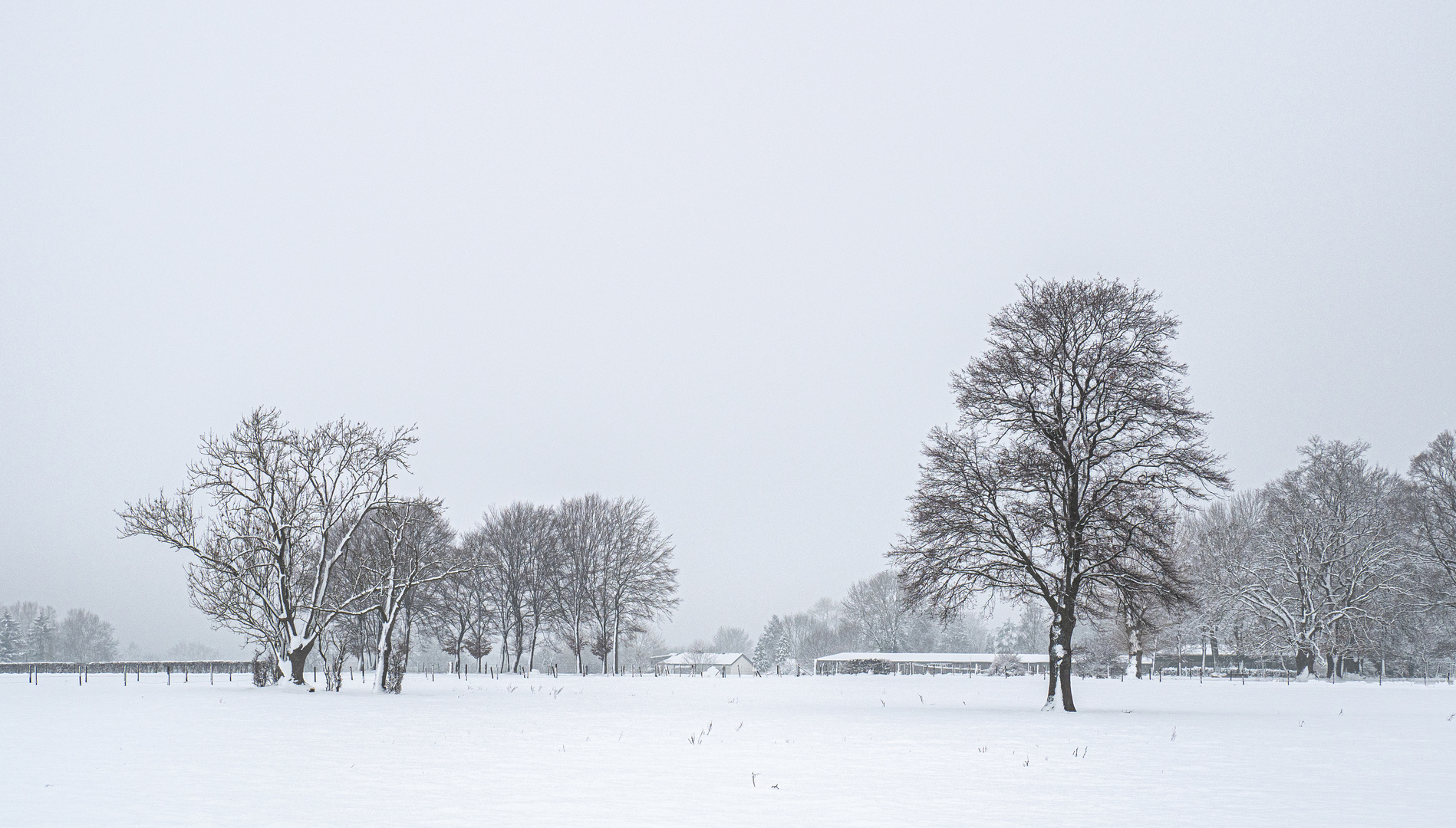 natural black and white landscape