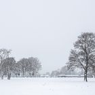 natural black and white landscape