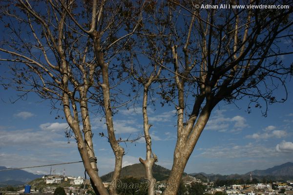 Natural blue sky with tree and mountain