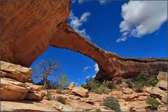 Natural Bridge