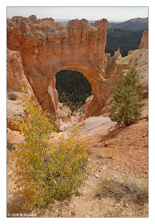 Natural Bridge