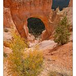 Natural Bridge