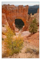 Natural Bridge