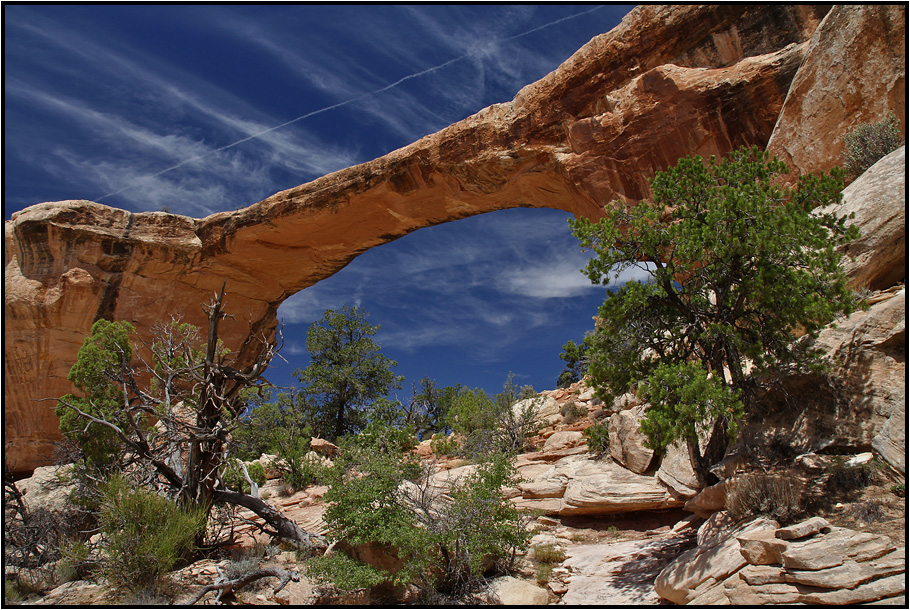 | natural bridge |