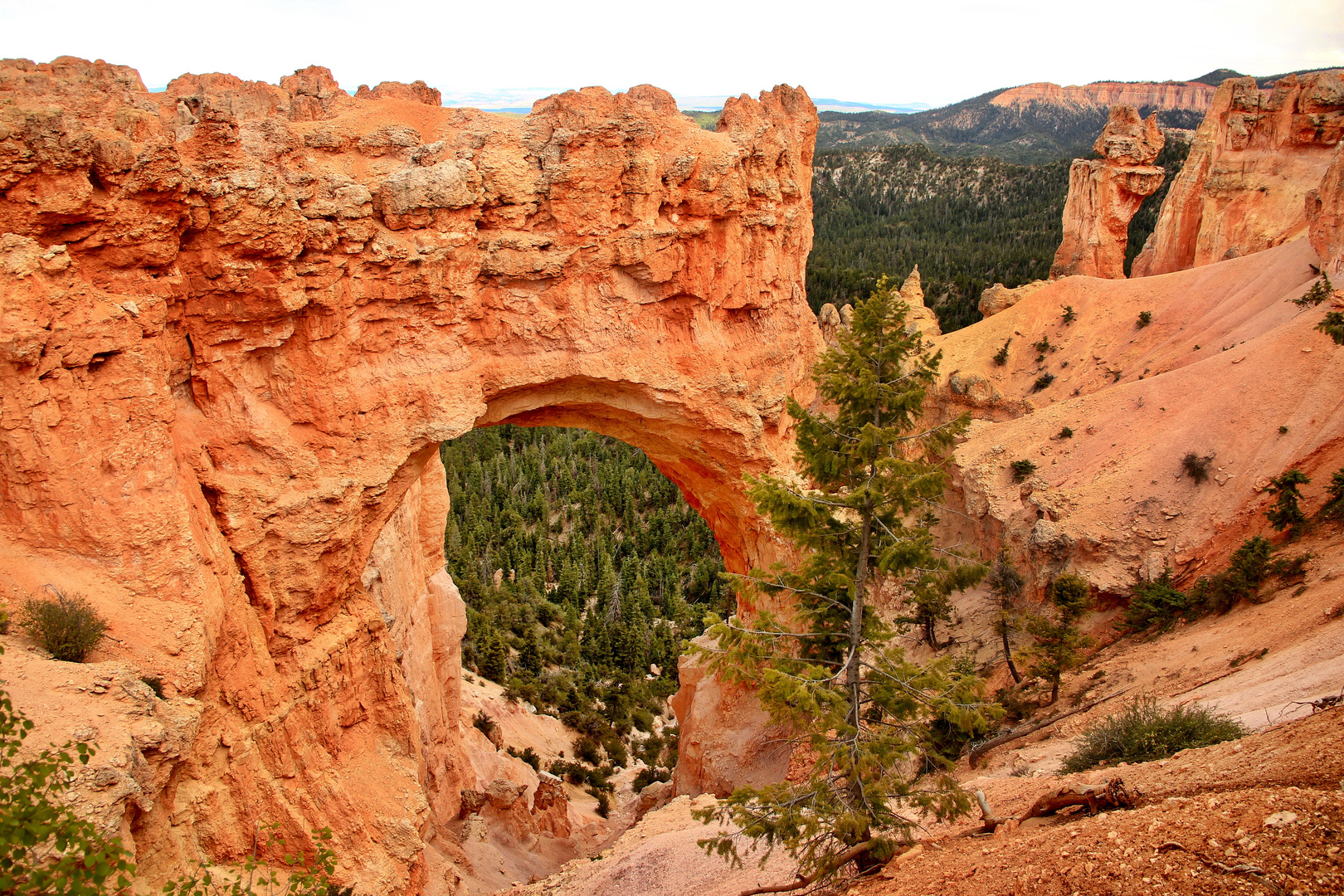 Natural Bridge