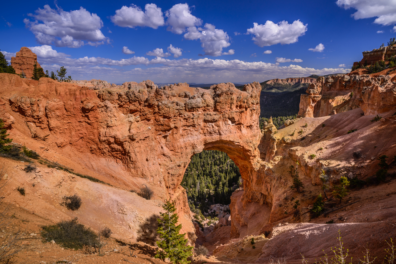 Natural Bridge, Bryce Canyon NP, Utah, USA