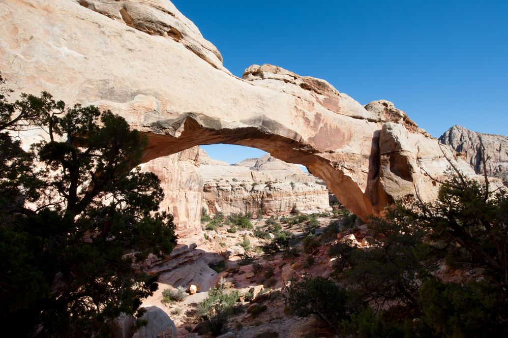 Natural Bridge / Capitol Reef NP