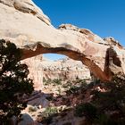 Natural Bridge / Capitol Reef NP