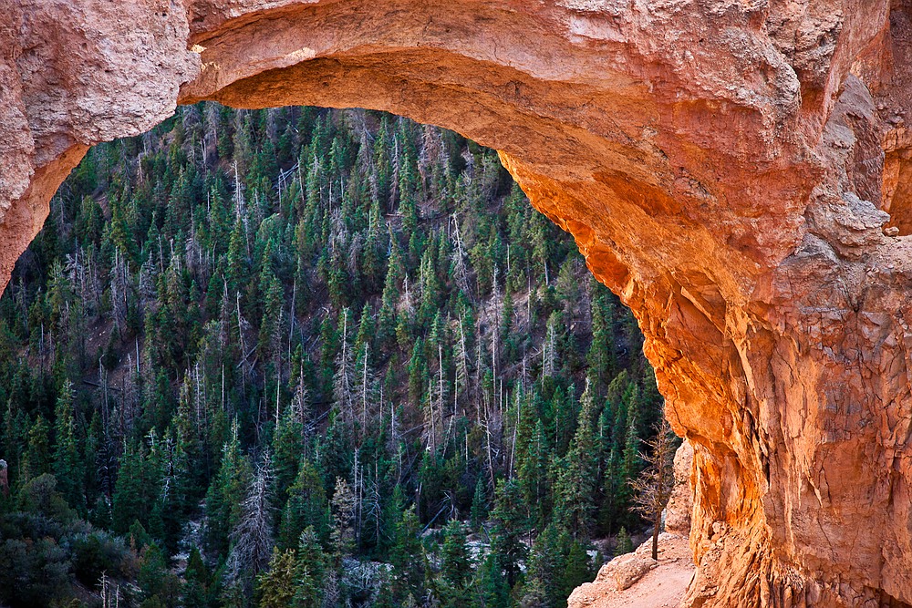 natural bridge