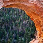 natural bridge