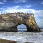 Natural Bridge in Santa Cruz (HDR)