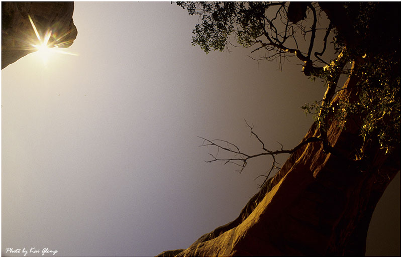 Natural Bridges