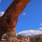 Natural Bridges