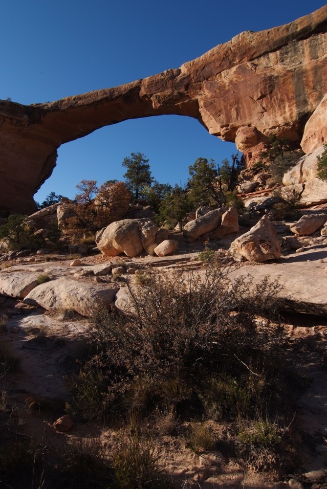 +++ Natural Bridges +++