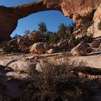 +++ Natural Bridges +++