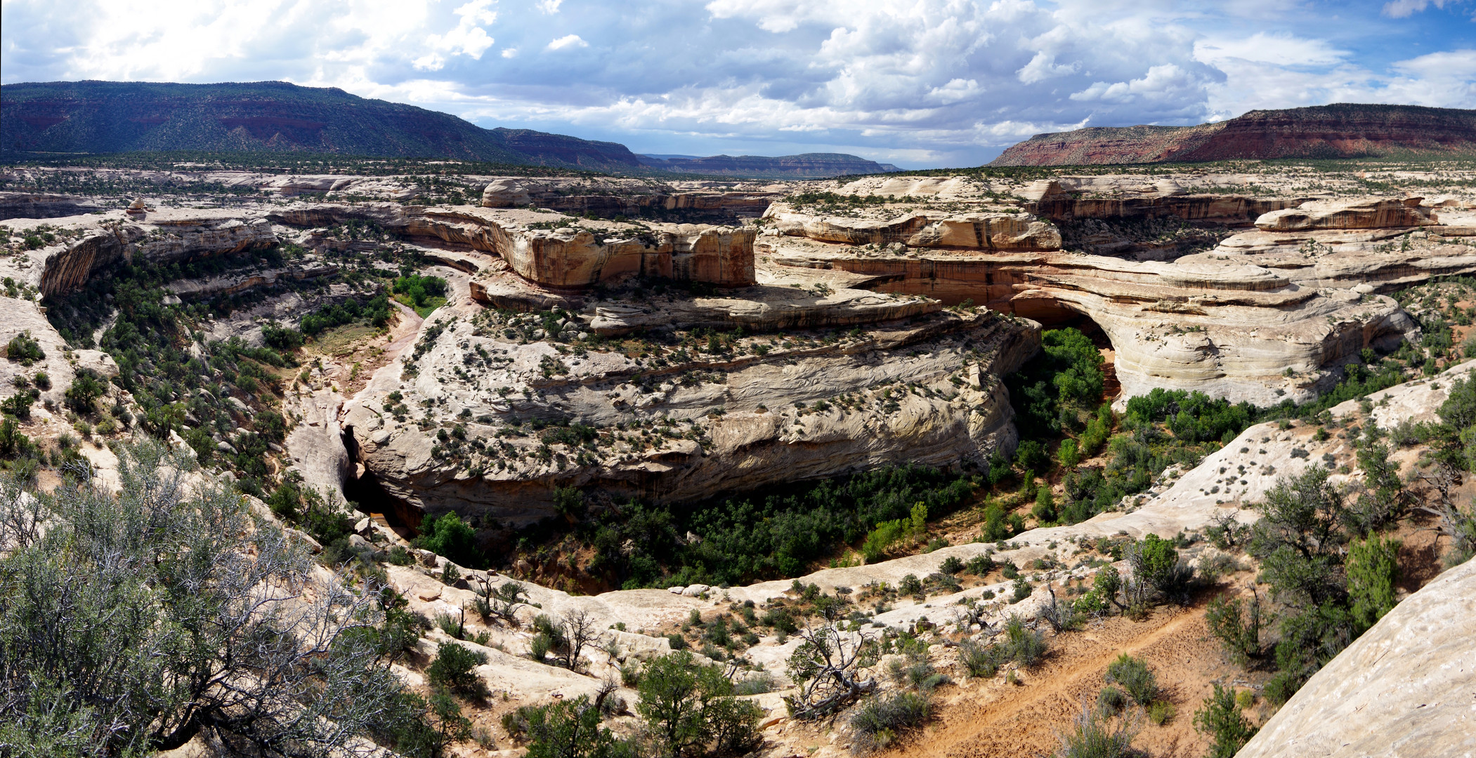 Natural Bridges Monument