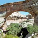 Natural Bridges National Monument