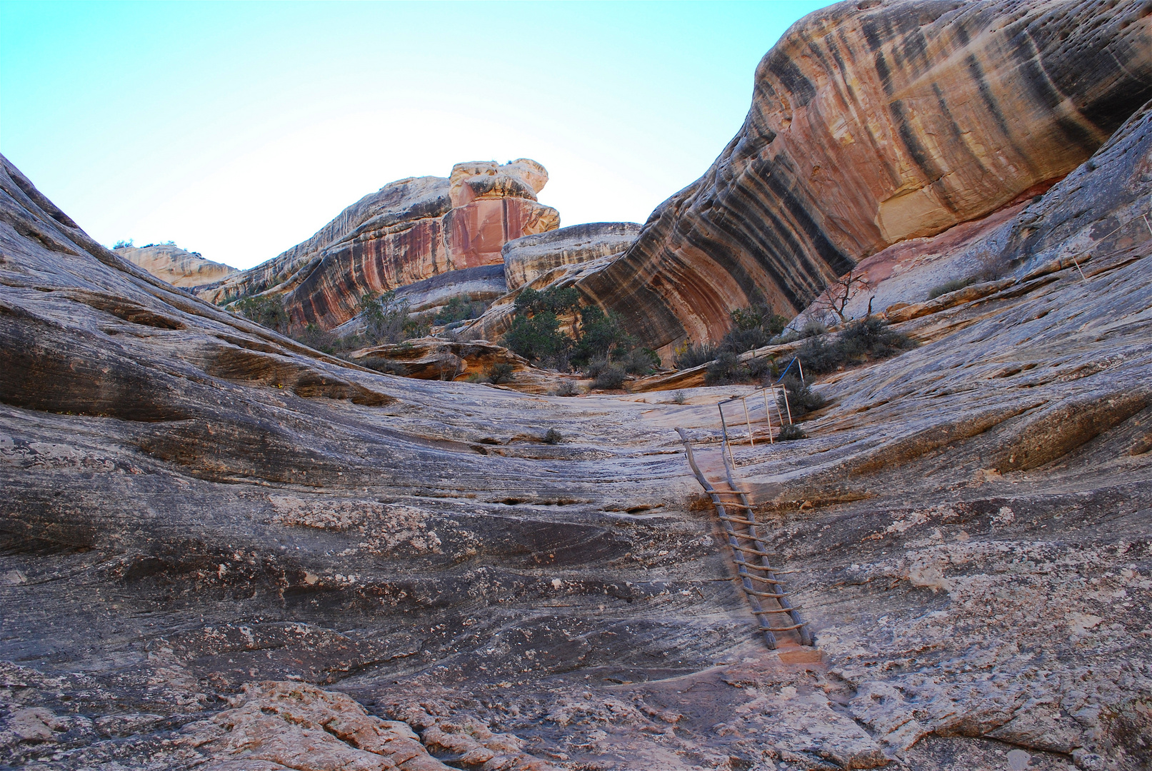 Natural Bridges National Monument 2