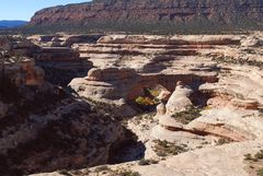 Natural Bridges National Monument