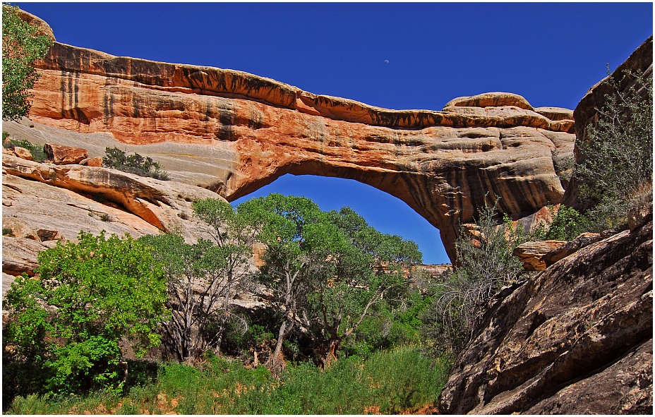 Natural Bridges NM