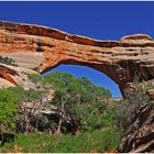 Natural Bridges NM