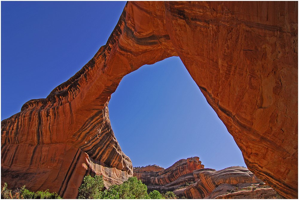 Natural Bridges NM II